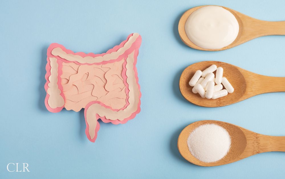 passos para manter uma microbiota saudável e a saúde intestinal